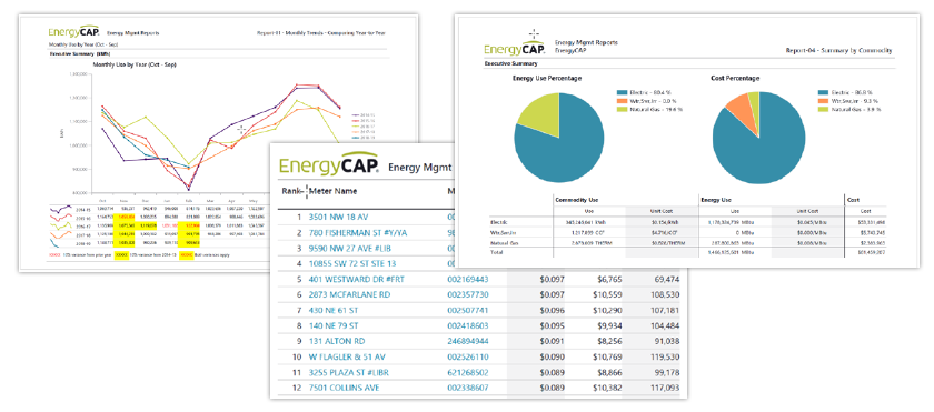 Energy Manager’s Report Guide