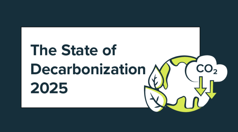 The State of Decarbonization 2025