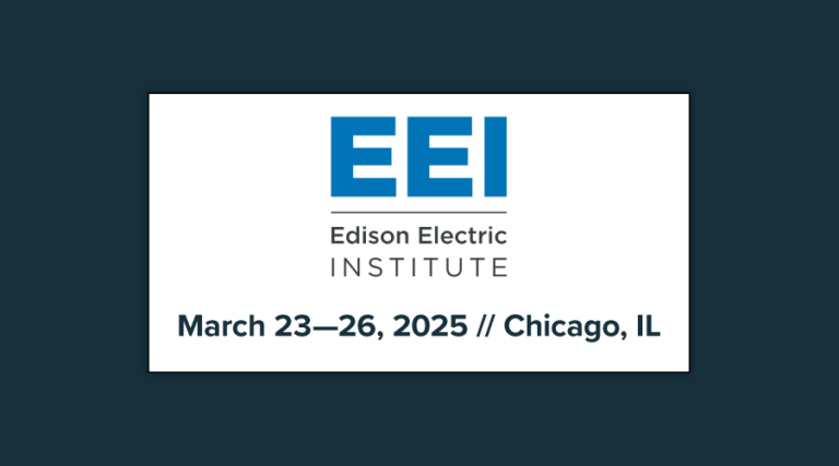 Conference // EEI Spring 2025 Workshop