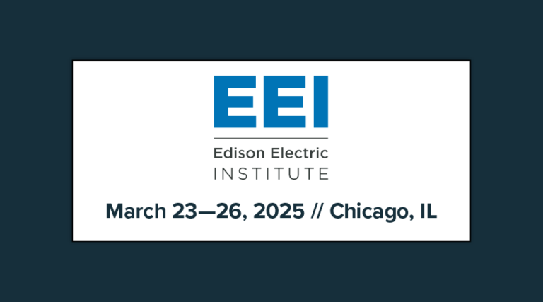 EEI Spring 2025 Workshop